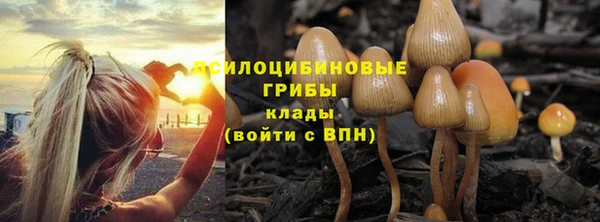 ешки Няндома