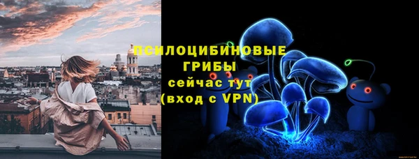 ешки Няндома