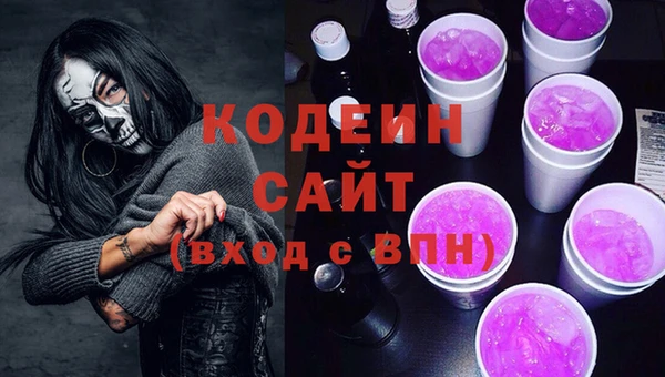 ешки Няндома