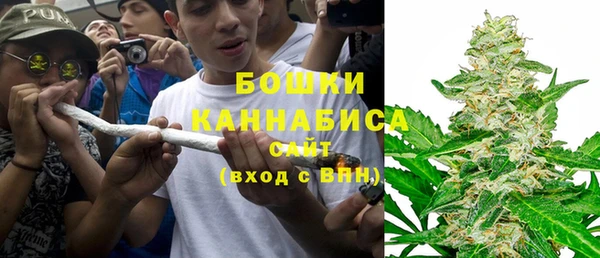 гидра Осташков
