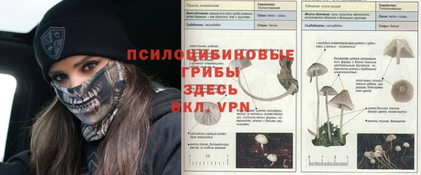 ешки Няндома