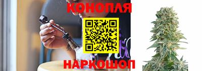 эйфоретик Будённовск