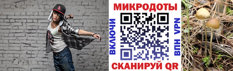 Галлюциногенные грибы Cubensis  mega как войти  Кольчугино 