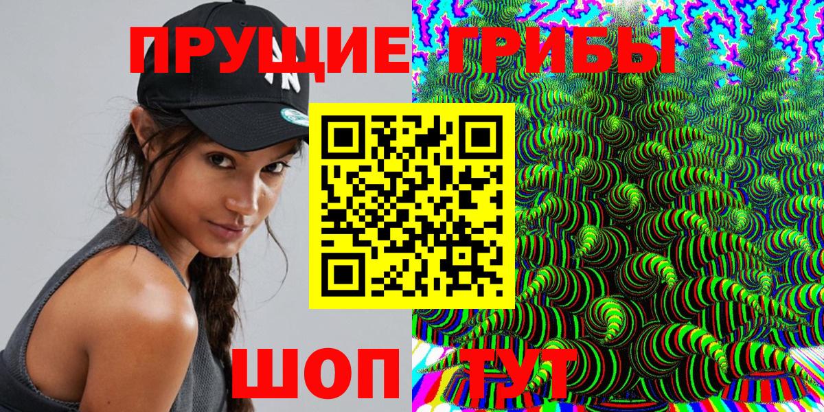 Галлюциногенные грибы GOLDEN TEACHER  Галлюциногенные грибы Psilocybine cubensis  Кольчугино 